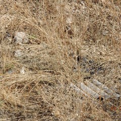 Amianto, le foto scattate dalla Folgore