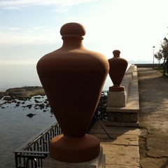 Anfore nella villa comunale di Trani