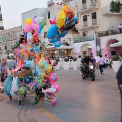 Auto, moto e rifiuti sul porto di Trani