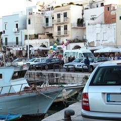 Auto parcheggiate sul porto di Trani