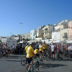 Trofeo ciclistico federiciano