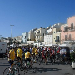 Trofeo ciclistico federiciano