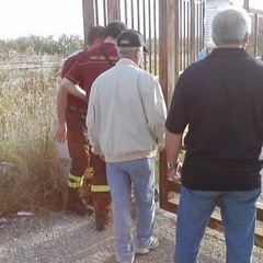 Cane intrappolato in un deposito: salvato dai pompieri