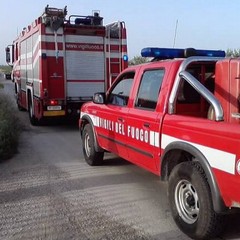 Cane intrappolato in un deposito: salvato dai pompieri