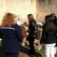Due cani rinchiusi in un rudere su via Verdi