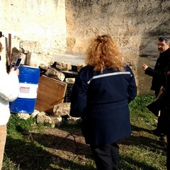 Due cani rinchiusi in un rudere su via Verdi