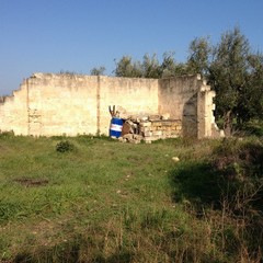 Due cani rinchiusi in un rudere su via Verdi