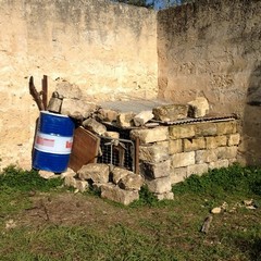 Due cani rinchiusi in un rudere su via Verdi