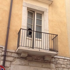 Casa natale G.Bovio, particolare finestra