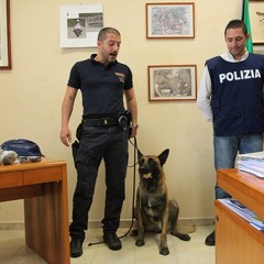 Sequestro di droga, operazione della Polizia di Trani