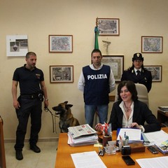 Sequestro di droga, operazione della Polizia di Trani