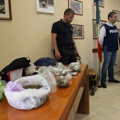 Sequestro di droga, operazione della Polizia di Trani