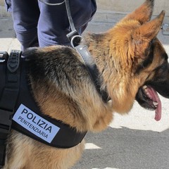 Controlli di Polizia nella stazione di Trani