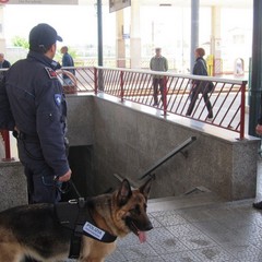 Controlli di Polizia nella stazione di Trani