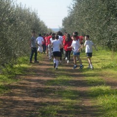 La corsa campestre organizzata dalla Tommaso Assi a Trani