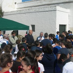 La corsa campestre organizzata dalla Tommaso Assi a Trani