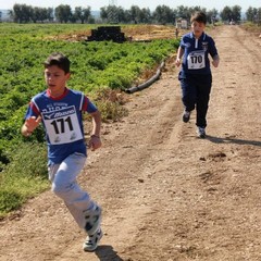 La corsa campestre organizzata dalla Tommaso Assi a Trani