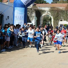 La corsa campestre organizzata dalla Tommaso Assi a Trani