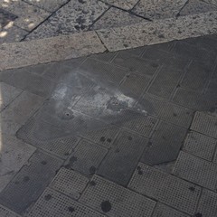 I cestini di corso Vittorio Emanuele sono stati rimossi