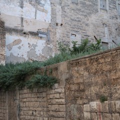 Sporcizia e degrado in via Vischi