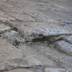 Sporcizia e degrado in via Vischi