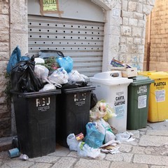 Sporcizia e degrado in via Vischi