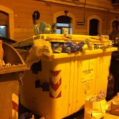 Raccolta della plastica in piazza Cittadella