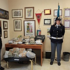 Droga, operazione del Commissariato di Trani