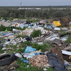 I rifiuti scaricati in territorio di Trani sulla ex statale 98