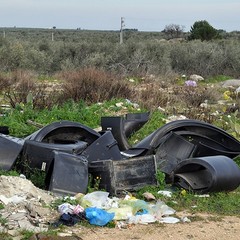 I rifiuti scaricati in territorio di Trani sulla ex statale 98
