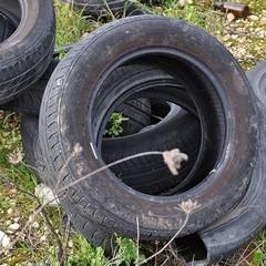 I rifiuti scaricati in territorio di Trani sulla ex statale 98