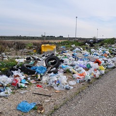 I rifiuti scaricati in territorio di Trani sulla ex statale 98