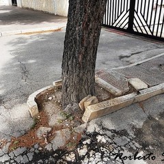 I problemi del quartiere Pozzo Piano