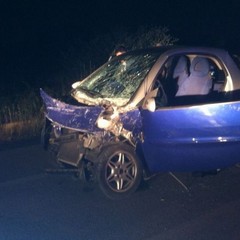 Incidente stradale sulla Trani-Corato