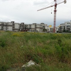 Degrado in via Giacchetti