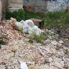 Degrado in via Giacchetti