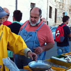 Giorgione sul porto di Trani
