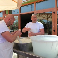 Mozzarella da record per un caseificio di Trani