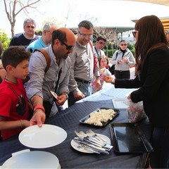Mozzarella da record per un caseificio di Trani
