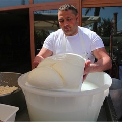 Mozzarella da record per un caseificio di Trani