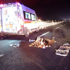 Incidente sulla strada statale 16 bis