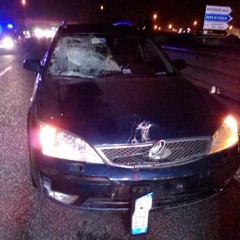 Incidente sulla strada statale 16 bis