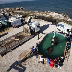 Recupero ancora Papagno al largo di Trani