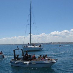 Liberate le due tartarughe recuperate tra Trani e Margherita di Savoia