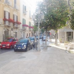 Parcheggi e fantasia, un malcostume tranese da debellare