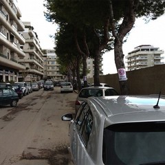 Caos su via Bari, tra buche stradali e parcheggi selvaggi