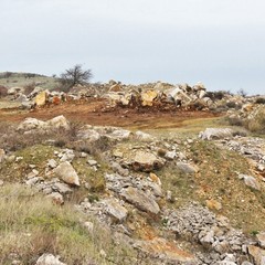 Cava sequestrata nel parco dell'Alta Murgia