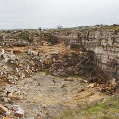 Cava sequestrata nel parco dell'Alta Murgia