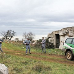 Cava sequestrata nel parco dell'Alta Murgia