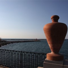 Una domenica a Trani tra porto e villa comunale